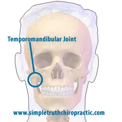 Chiropractic Hastings MI TMJD Diagram